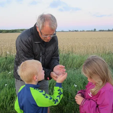 I Hjertet Af Apartament *