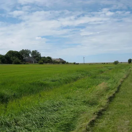 I Hjertet Af Apartament